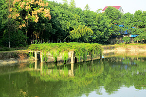茄子视频APP在线观看园湖光美景