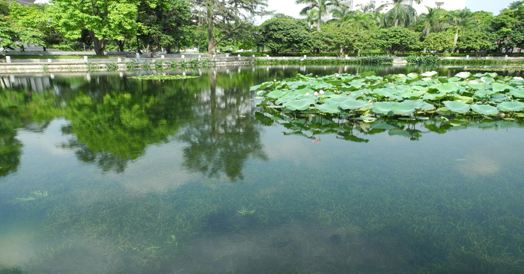 水生态茄子视频APP懂你更多3