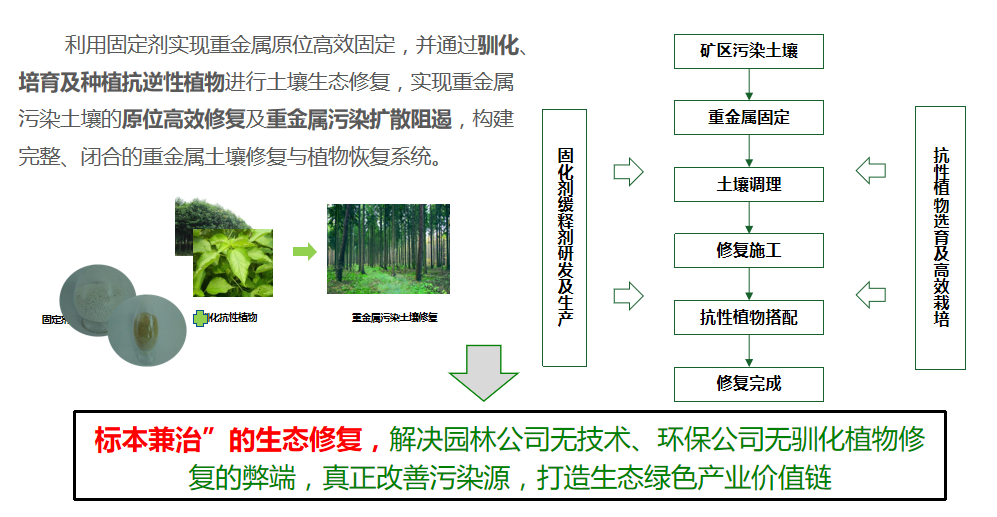 茄子视频APP懂你更多方案优势