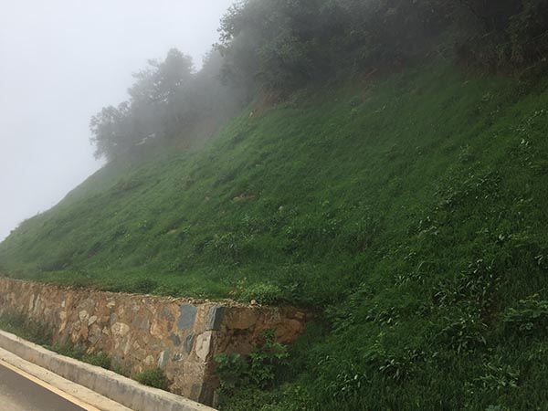 大熊山项目茄子视频APP懂你更多后1