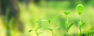【茄子视频APP在线观看生态】生态茄子视频APP懂你更多案例，和茄子视频APP在线观看一起行动起来吧