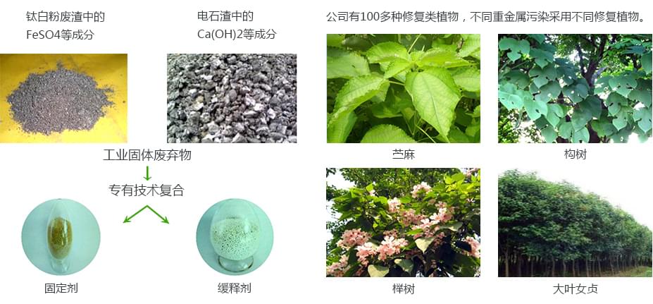 重金属污染土壤茄子视频APP懂你更多项目产品