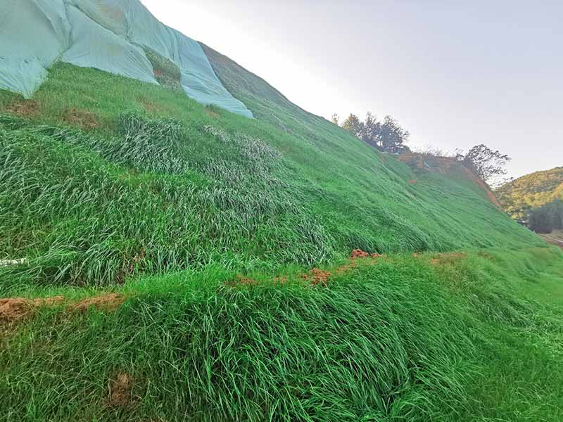 常德市鼎城区石板滩镇石煤矿区伍房石煤矿（防治I区）生态环境茄子视频APP懂你更多工程