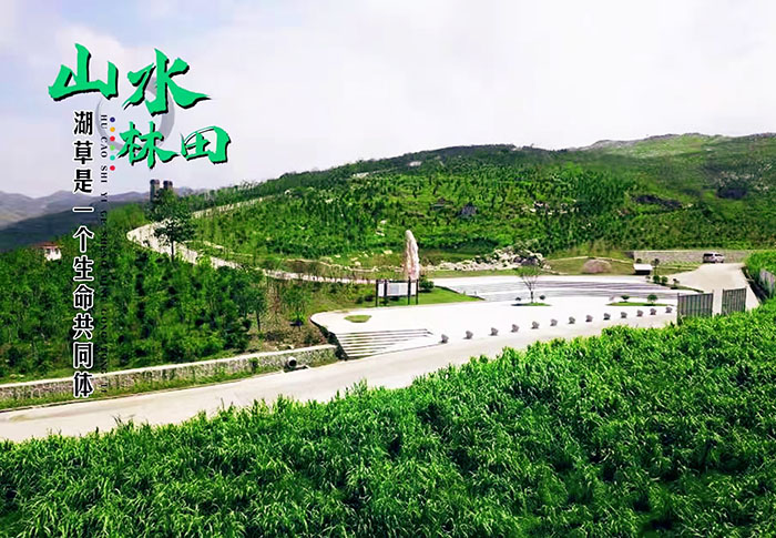 湖南省娄底市冷水江锑煤矿区山水林田湖草生态保护茄子视频APP懂你更多项目