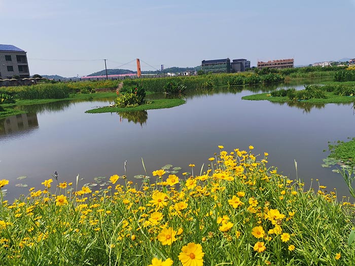 衡阳县蒸水流域山水林田湖草生态保护茄子视频APP懂你更多工程试点项目