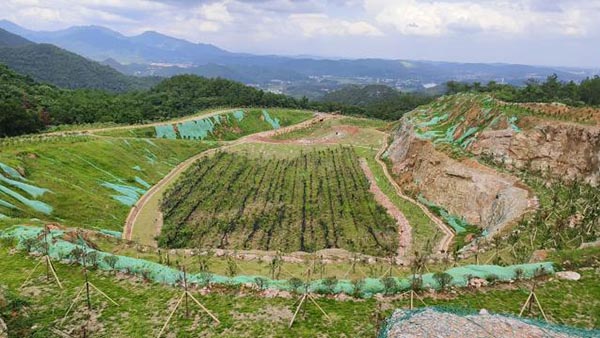 新邵县三郎庙铅锌锑矿和鸿发采石场综合治理与生态茄子视频APP懂你更多工程项目（EPC）总承包