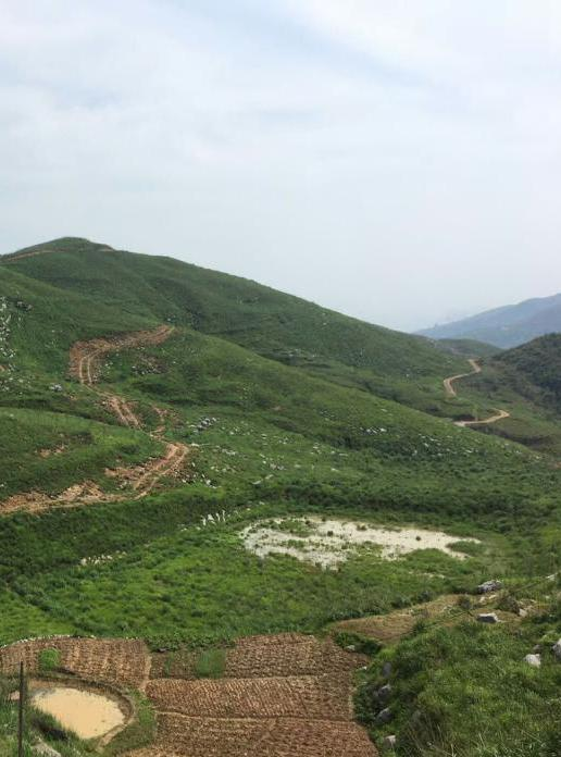 湖南省冷水江市锡矿山地区生态茄子视频APP懂你更多项目