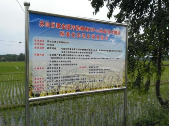 湖南省郴州市苏仙区千亩农田镉污染茄子视频APP懂你更多项目