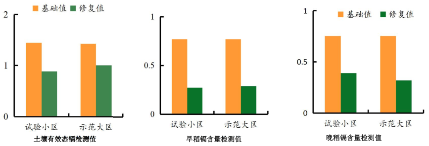 湖南省郴州市苏仙区千亩农田镉污染茄子视频APP懂你更多项目
