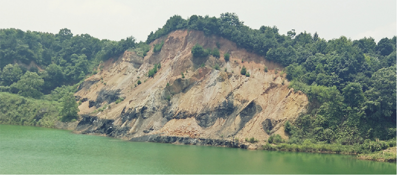 常德市鼎城区石板滩镇石煤矿区伍房石煤矿（防治I区）生态环境茄子视频APP懂你更多工程