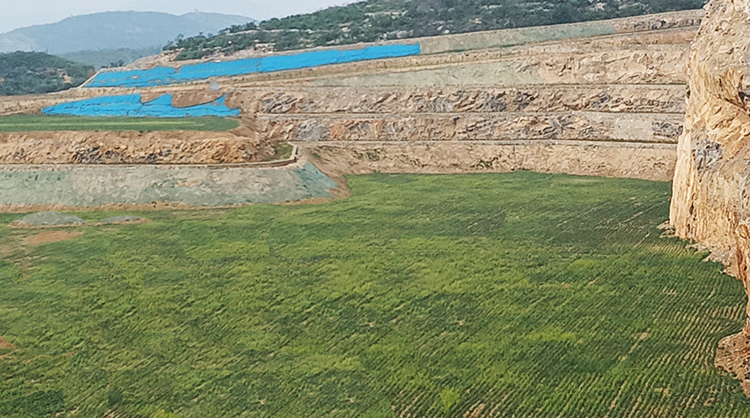 鹤壁市淇滨区南太行地区山水林田湖草生态保护茄子视频APP懂你更多工程