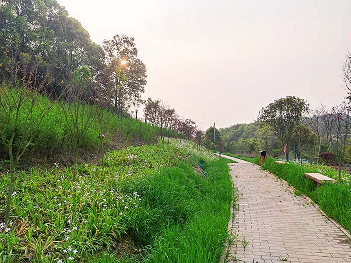 衡阳市常宁水口山铅锌煤矿区山水林田湖草生态保护茄子视频APP懂你更多试点工程
