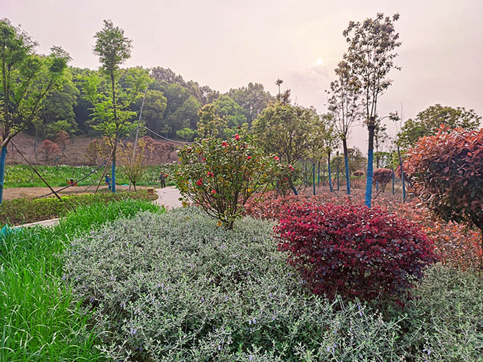 衡阳市常宁水口山铅锌煤矿区山水林田湖草生态保护茄子视频APP懂你更多试点工程