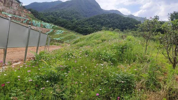新邵县三郎庙铅锌锑矿和鸿发采石场综合治理与生态茄子视频APP懂你更多工程项目（EPC）总承包