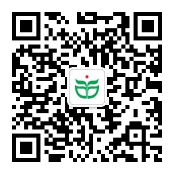 扫描茄子视频APP在线观看微信号